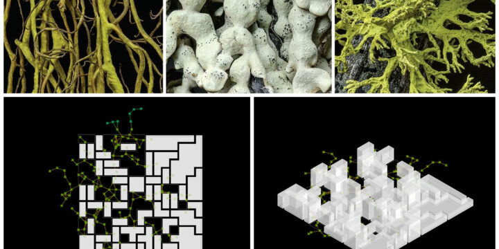 A bio-inspired, generative urban tissue growth and optimization workflow